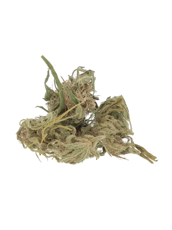 Fleurs de CBD Combet Dream Brut 10g – vue de face – À La Civette Paris