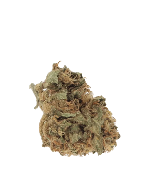 Fleurs de CBD Combet Dream Premium 10g – vue de face – À La Civette Paris