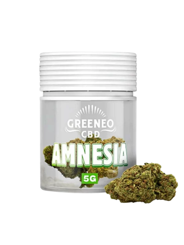 A La Civette fleur de CBD Greeneo Amnesia 5 g face – fleurs CBD Greeneo premium