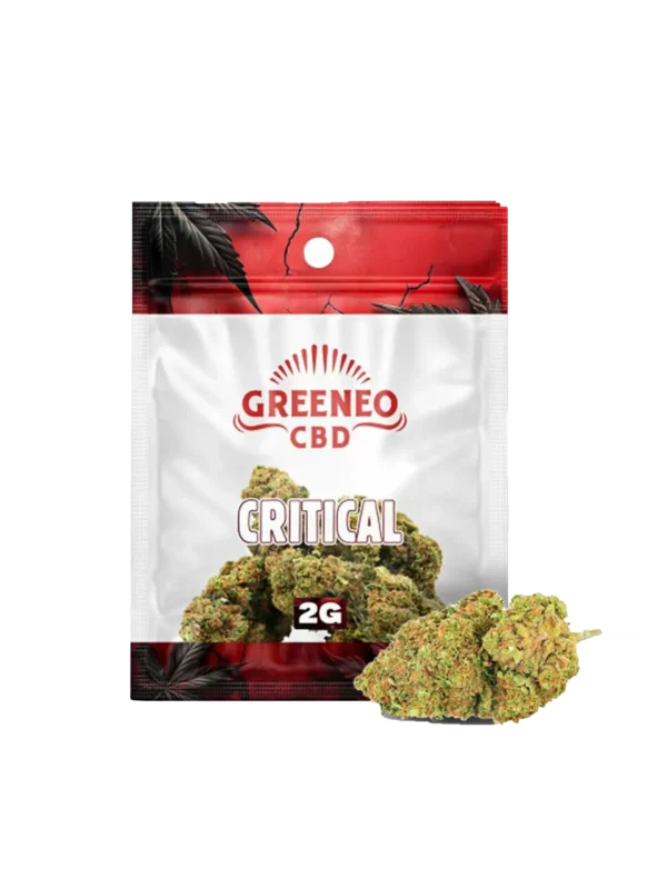 A-La-Civette-CBD-Fleurs-Greeneo-Critical-2g-face A La Civette fleur de CBD Greeneo Critical 2 g face – fleur CBD premium Paris